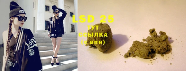 ПСИЛОЦИБИНОВЫЕ ГРИБЫ Верея