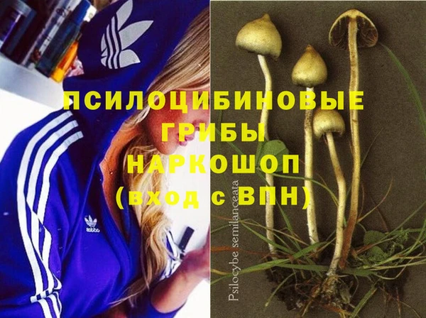 ПСИЛОЦИБИНОВЫЕ ГРИБЫ Верея