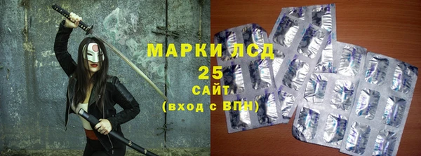 ПСИЛОЦИБИНОВЫЕ ГРИБЫ Верея