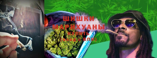 ПСИЛОЦИБИНОВЫЕ ГРИБЫ Верея